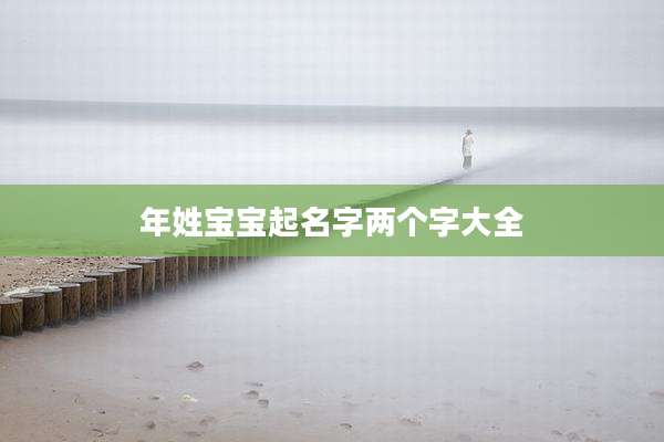 年姓宝宝起名字两个字大全