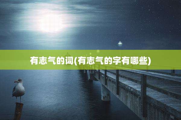 有志气的词(有志气的字有哪些)