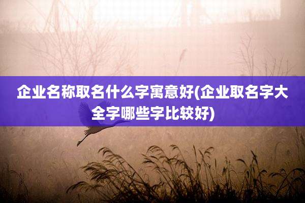 企业名称取名什么字寓意好(企业取名字大全字哪些字比较好)