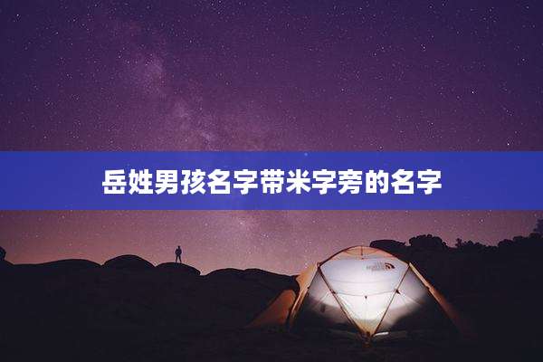 岳姓男孩名字带米字旁的名字