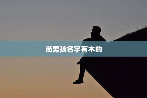 尚男孩名字有木的