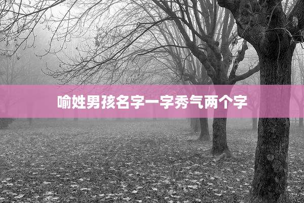 喻姓男孩名字一字秀气两个字