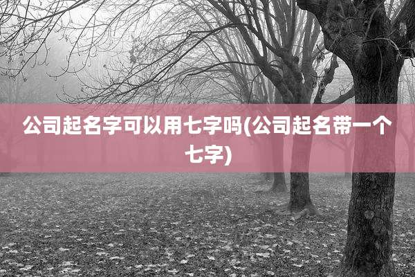 公司起名字可以用七字吗(公司起名带一个七字)