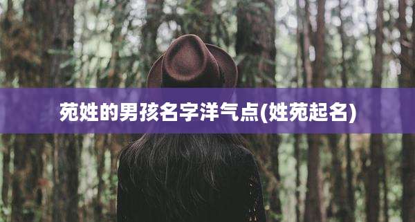 苑姓的男孩名字洋气点(姓苑起名)