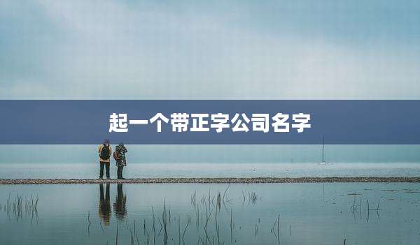起一个带正字公司名字