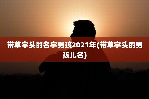 带草字头的名字男孩2021年(带草字头的男孩儿名)