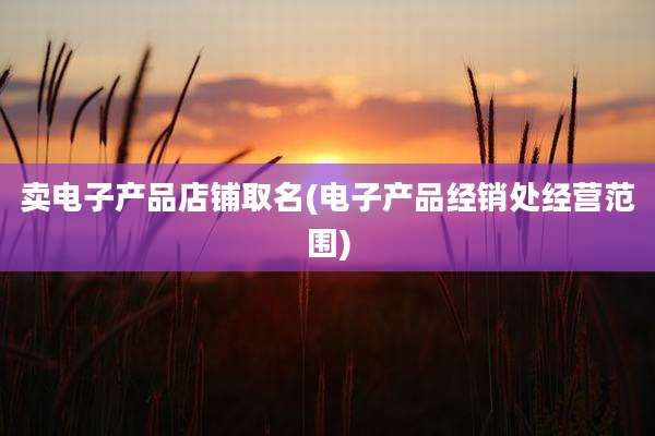 卖电子产品店铺取名(电子产品经销处经营范围)