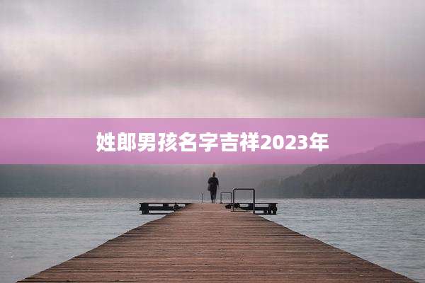 姓郎男孩名字吉祥2023年