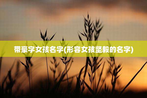 带豪字女孩名字(形容女孩坚毅的名字)