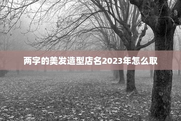 两字的美发造型店名2023年怎么取