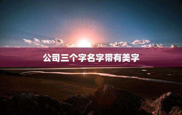 公司三个字名字带有美字