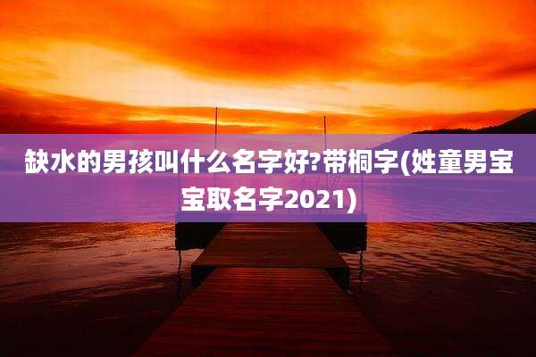 缺水的男孩叫什么名字好?带桐字(姓童男宝宝取名字2021)