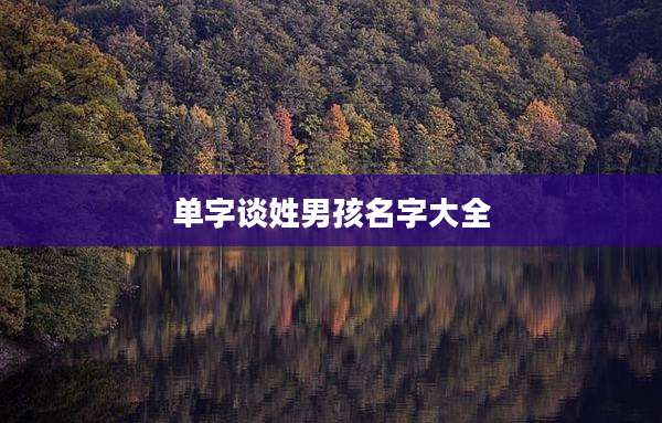 单字谈姓男孩名字大全