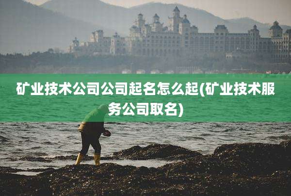 矿业技术公司公司起名怎么起(矿业技术服务公司取名)