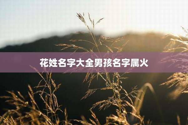 花姓名字大全男孩名字属火