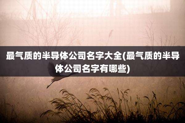 最气质的半导体公司名字大全(最气质的半导体公司名字有哪些)