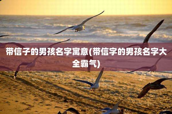 带信子的男孩名字寓意(带信字的男孩名字大全霸气)