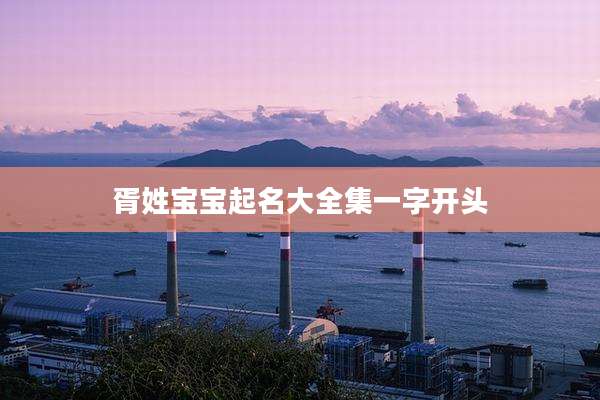 胥姓宝宝起名大全集一字开头