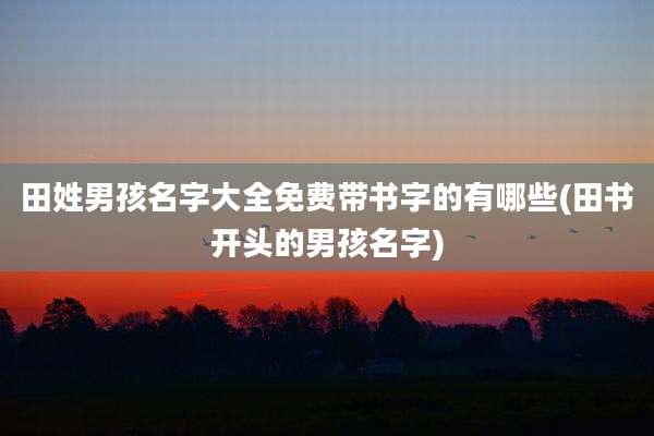 田姓男孩名字大全免费带书字的有哪些(田书开头的男孩名字)