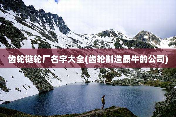 齿轮链轮厂名字大全(齿轮制造最牛的公司)