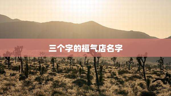 三个字的福气店名字