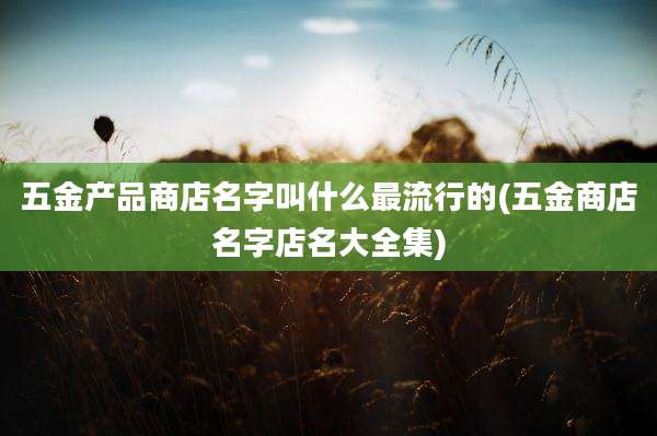 五金产品商店名字叫什么最流行的(五金商店名字店名大全集)