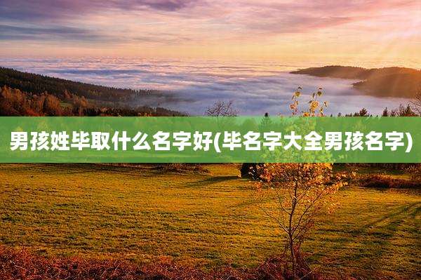 男孩姓毕取什么名字好(毕名字大全男孩名字)