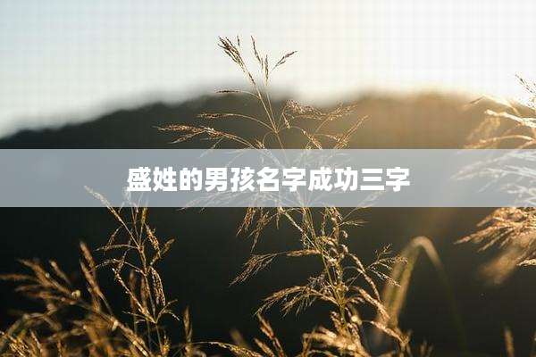 盛姓的男孩名字成功三字