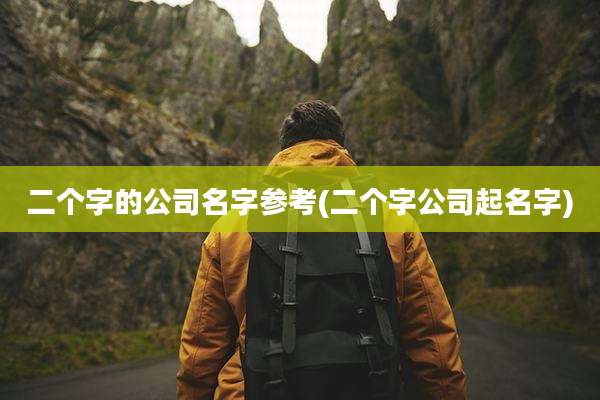 二个字的公司名字参考(二个字公司起名字)