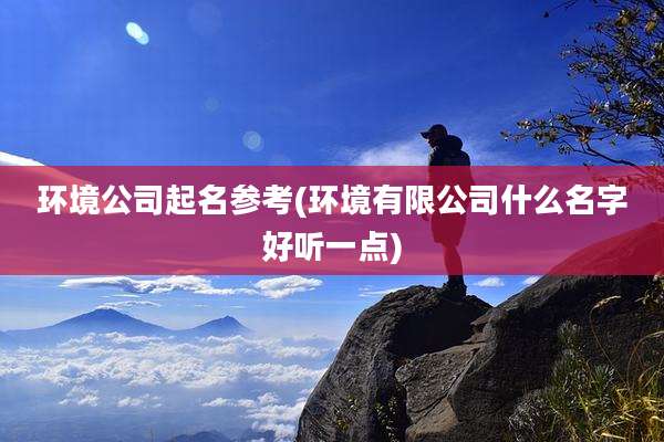 环境公司起名参考(环境有限公司什么名字好听一点)