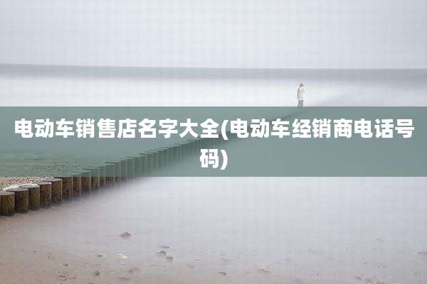 电动车销售店名字大全(电动车经销商电话号码)