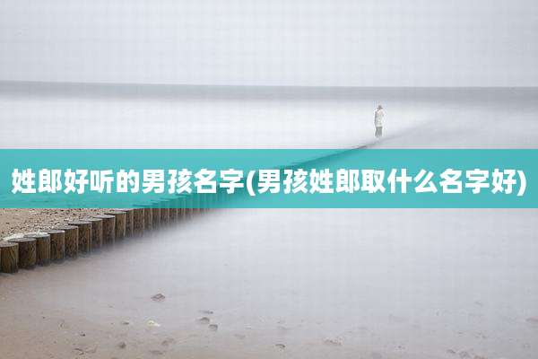 姓郎好听的男孩名字(男孩姓郎取什么名字好)