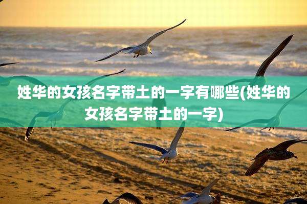 姓华的女孩名字带土的一字有哪些(姓华的女孩名字带土的一字)
