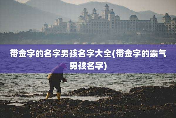 带金字的名字男孩名字大全(带金字的霸气男孩名字)