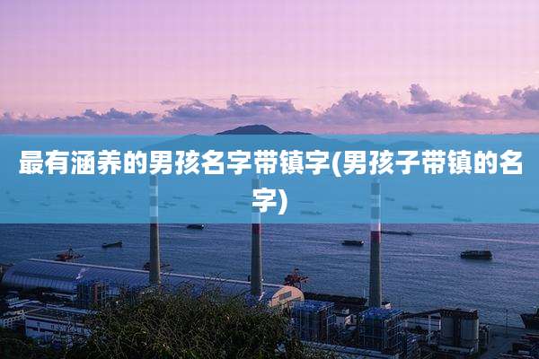 最有涵养的男孩名字带镇字(男孩子带镇的名字)
