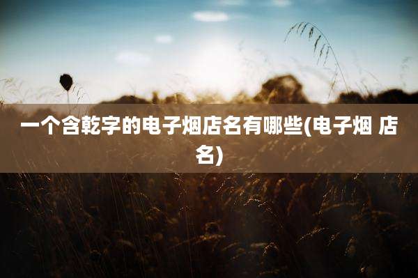一个含乾字的电子烟店名有哪些(电子烟 店名)