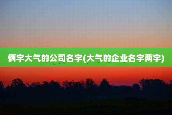俩字大气的公司名字(大气的企业名字两字)