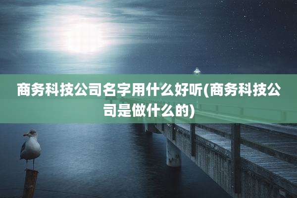商务科技公司名字用什么好听(商务科技公司是做什么的)
