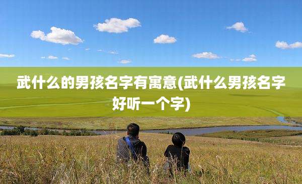 武什么的男孩名字有寓意(武什么男孩名字好听一个字)