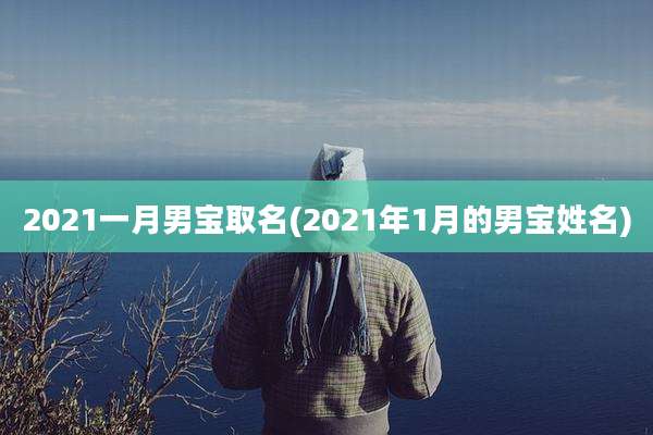 2021一月男宝取名(2021年1月的男宝姓名)