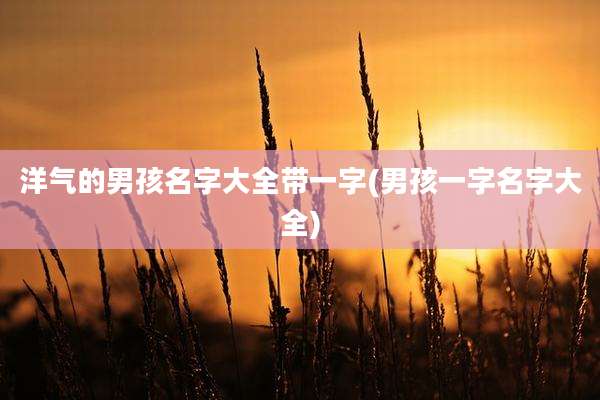 洋气的男孩名字大全带一字(男孩一字名字大全)