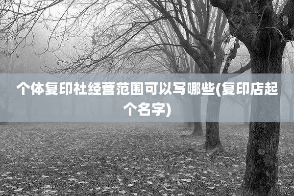 个体复印社经营范围可以写哪些(复印店起个名字)