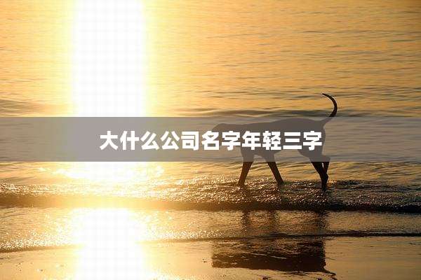 大什么公司名字年轻三字