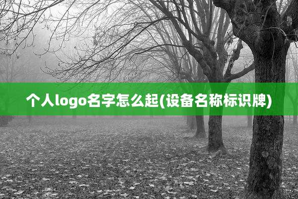 个人logo名字怎么起(设备名称标识牌)