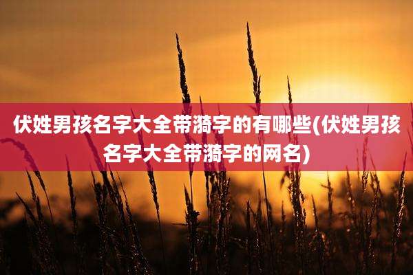 伏姓男孩名字大全带漪字的有哪些(伏姓男孩名字大全带漪字的网名)