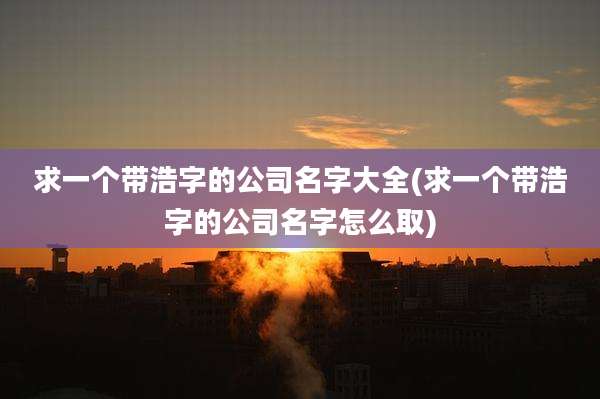求一个带浩字的公司名字大全(求一个带浩字的公司名字怎么取)