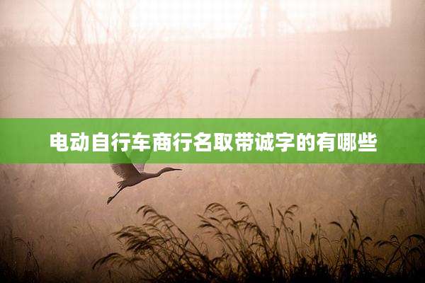 电动自行车商行名取带诚字的有哪些