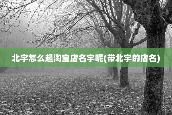 北字怎么起淘宝店名字呢(带北字的店名)