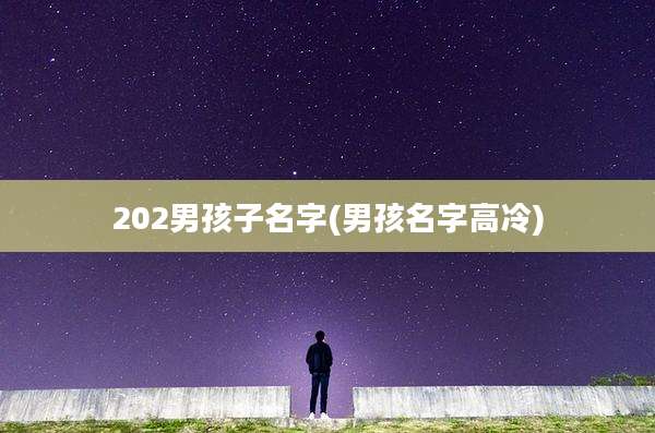 202男孩子名字(男孩名字高冷)