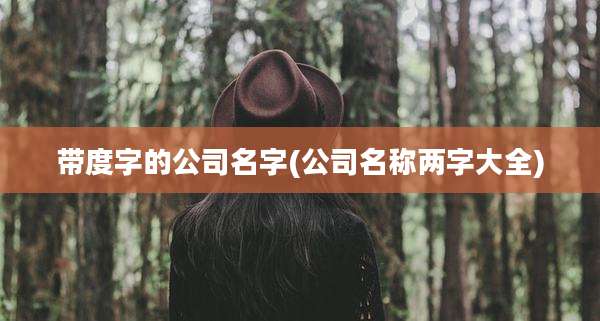 带度字的公司名字(公司名称两字大全)